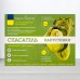Препарат спасатель Капусты, 2 пакета, 3мл+12мл